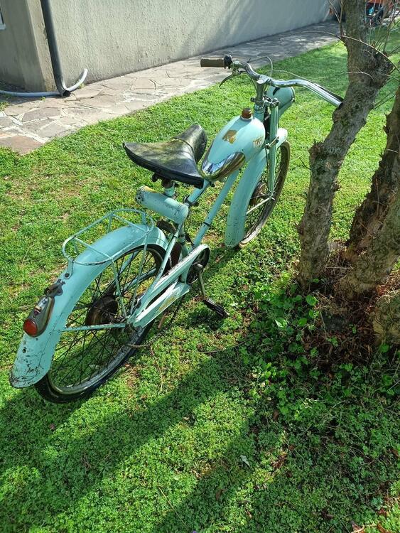 Bianchi AQUILOTTO A RULLO (4)