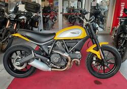 Ducati Scrambler 800 Icon (2015 - 16) usata