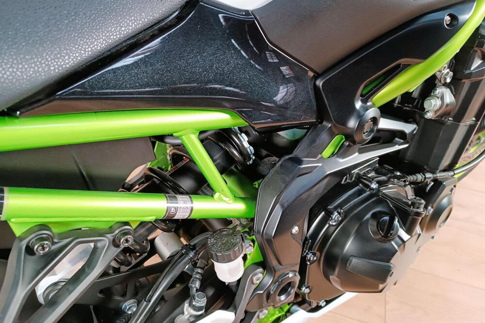 Kawasaki Z 900 (2017 - 18) (4)