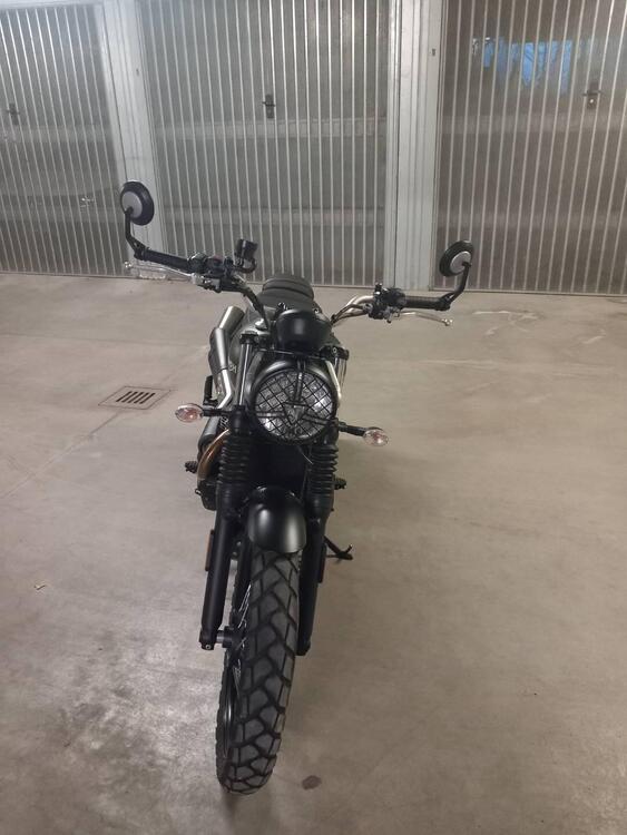 Triumph Street Scrambler 900 (2019 - 20) (4)