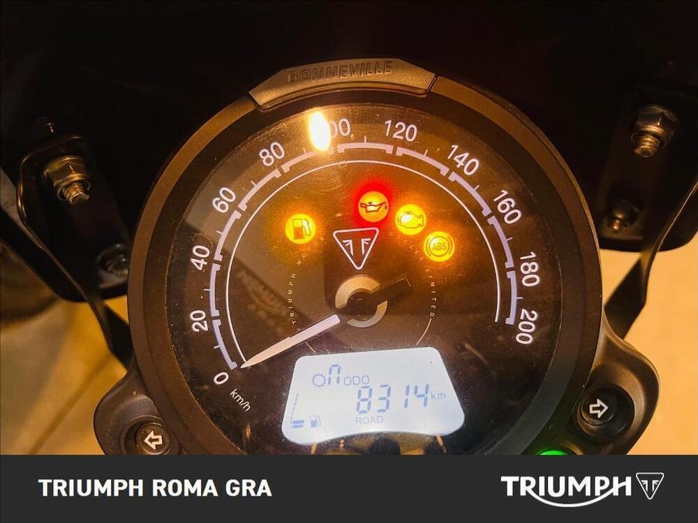 Triumph Street Scrambler 900 (2019 - 20) (4)