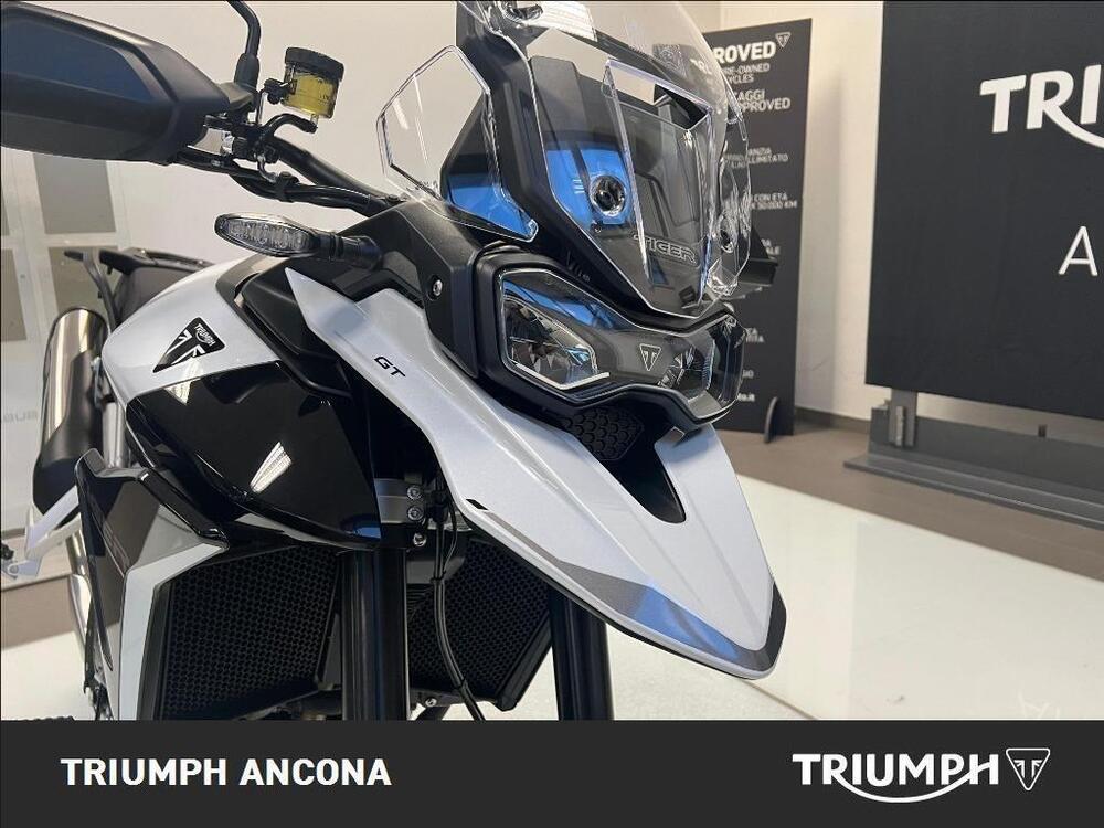 Triumph Tiger 900 GT (2024) (2)