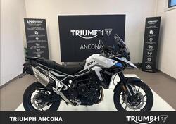 Triumph Tiger 900 GT (2024) usata