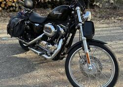 Harley-Davidson 1200 Custom (2007 - 13) - XL 1200C usata