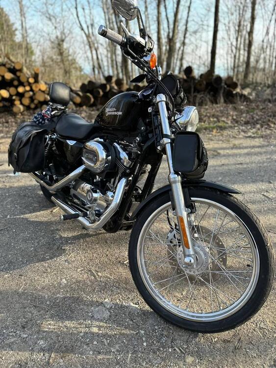 Harley-Davidson 1200 Custom (2007 - 13) - XL 1200C (3)