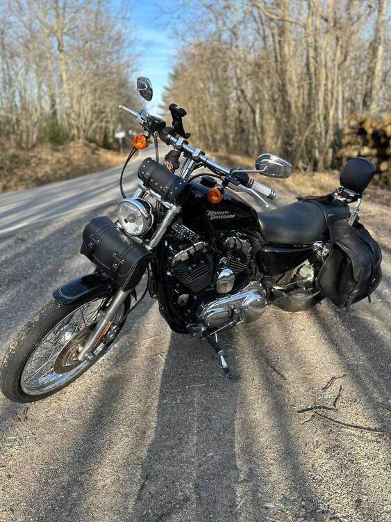 Harley-Davidson 1200 Custom (2007 - 13) - XL 1200C (4)