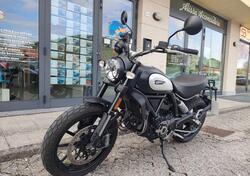 Ducati Scrambler 800 Icon Dark (2021 - 22) usata