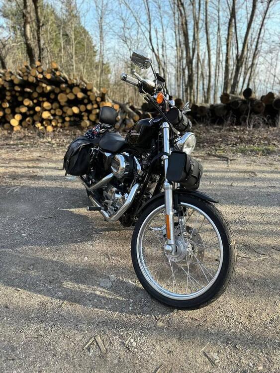 Harley-Davidson 1200 Custom (2007 - 13) - XL 1200C (5)