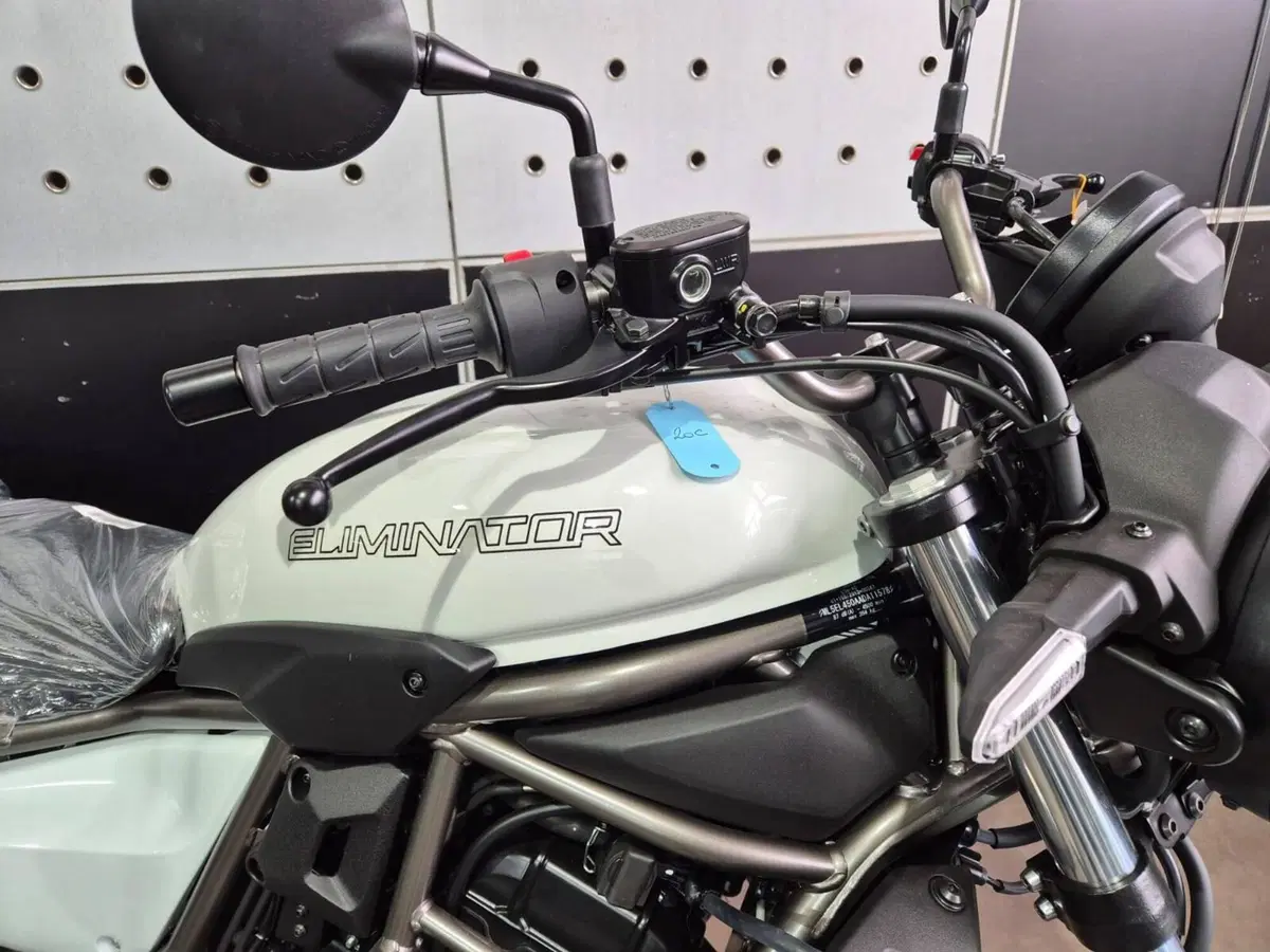 Kawasaki Eliminator 500 (2024 - 26) (5)