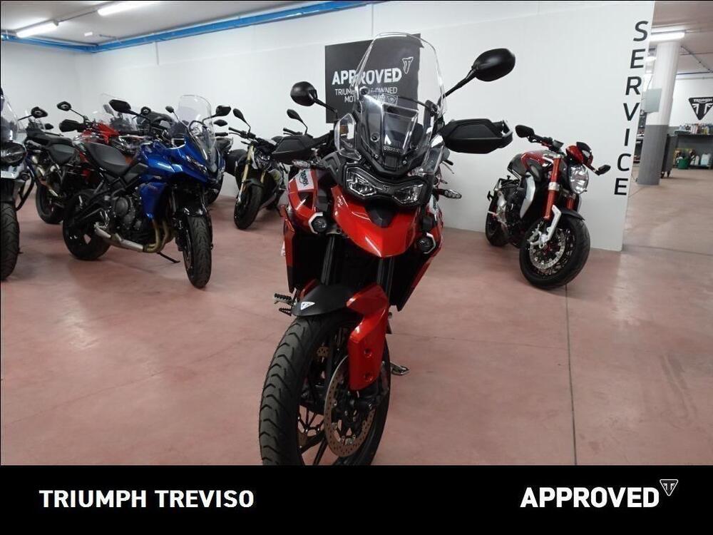 Triumph Tiger 900 GT Pro (2020 - 23) (5)