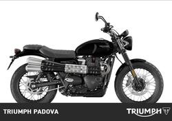 Triumph Scrambler 900 (2023 - 24) nuova