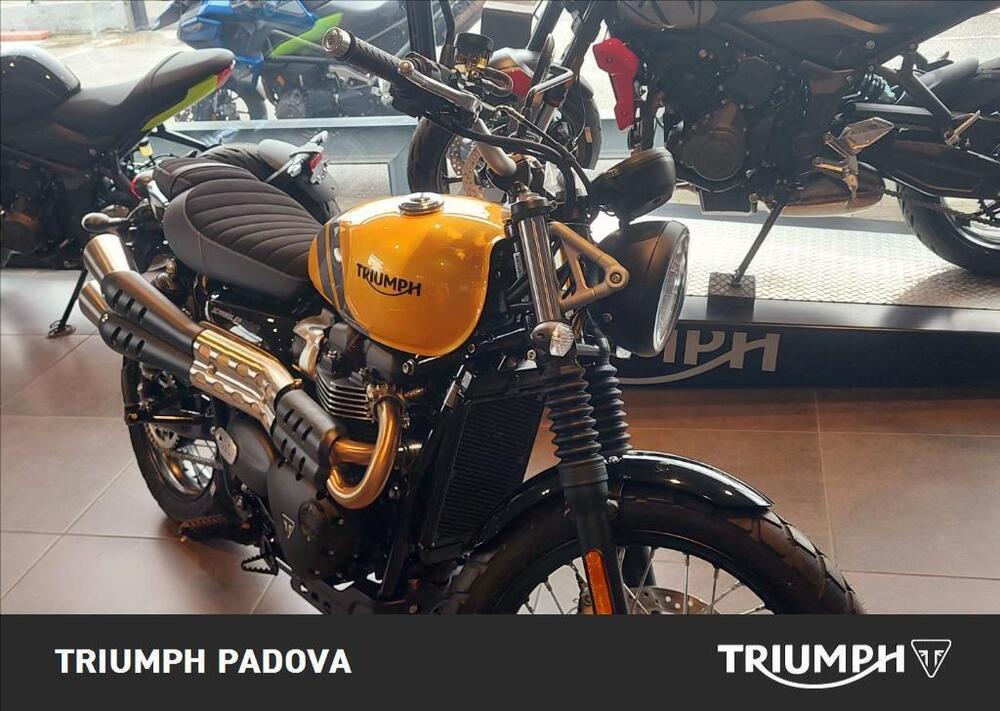 Triumph Scrambler 900 (2023 - 24)