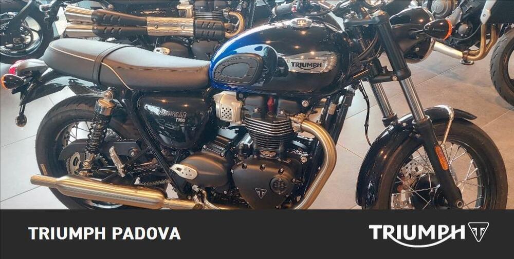 Triumph Bonneville T100 (2021 - 24)