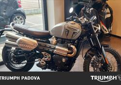 Triumph Scrambler 1200 X (2024) nuova