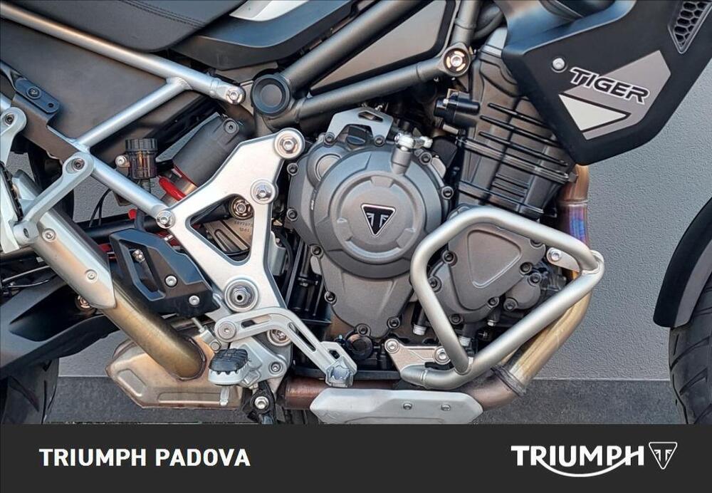 Triumph Tiger 1200 GT Pro (2022 - 23) (3)