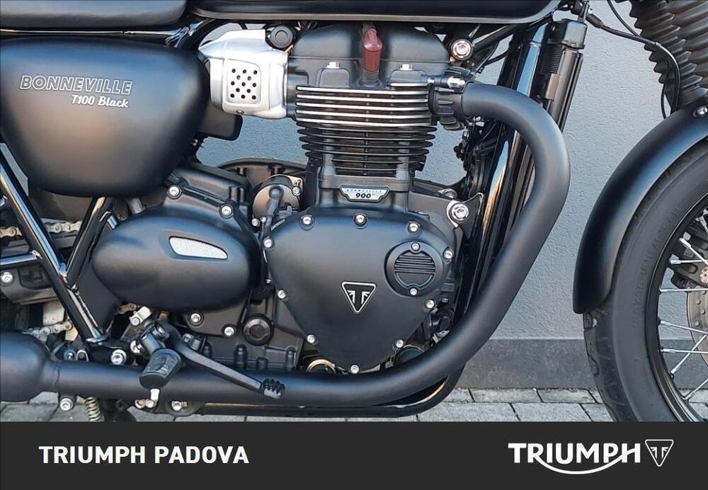 Triumph Bonneville T100 (2017 - 20) (3)