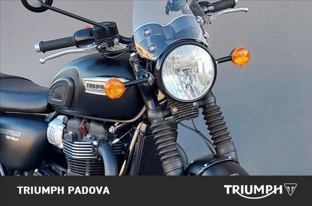 Triumph Bonneville T100 (2017 - 20) (5)