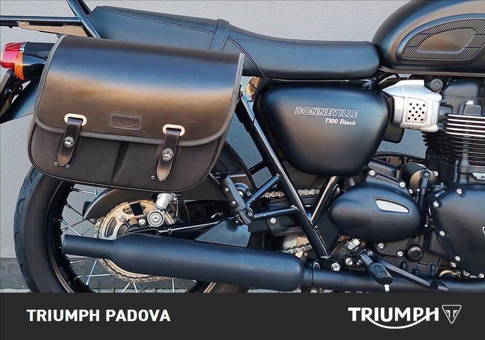 Triumph Bonneville T100 (2017 - 20) (2)