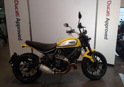 Ducati Scrambler 800 Icon (2021 - 22) usata