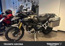 Triumph Tiger 1200 Rally Pro (2024) usata