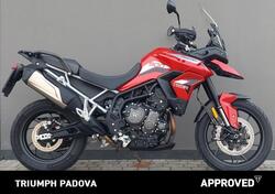 Triumph Tiger 900 GT (2020 - 23) usata