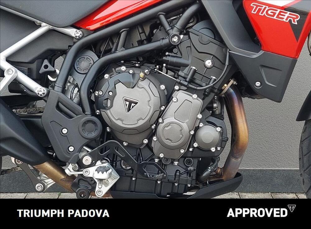 Triumph Tiger 900 GT (2020 - 23) (3)