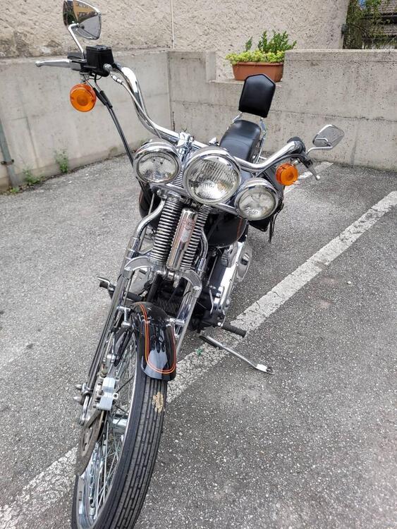 Harley-Davidson 1340 Springer (1990 - 98) - FXSTS (3)