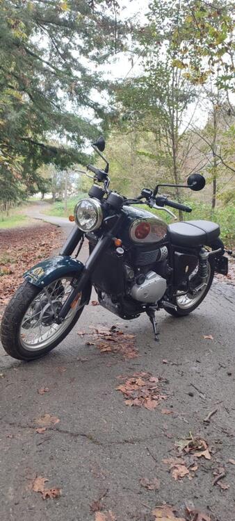 Bsa Gold Star 650 (2024) (4)