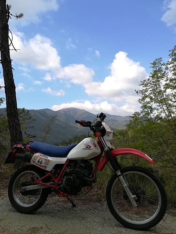 Honda XL350 R (2)