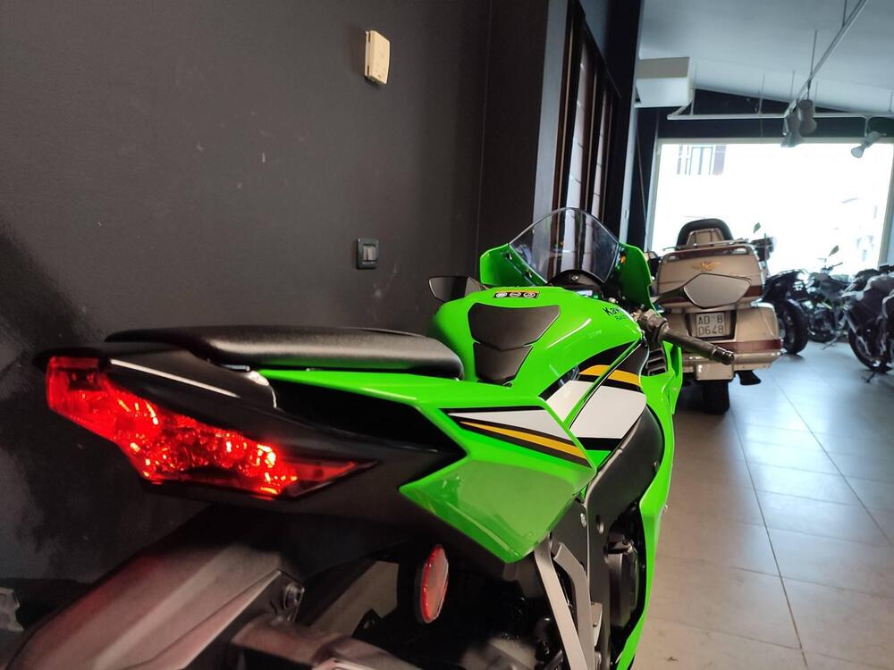 Kawasaki Ninja 1000 ZX-10R (2021 - 25) (3)