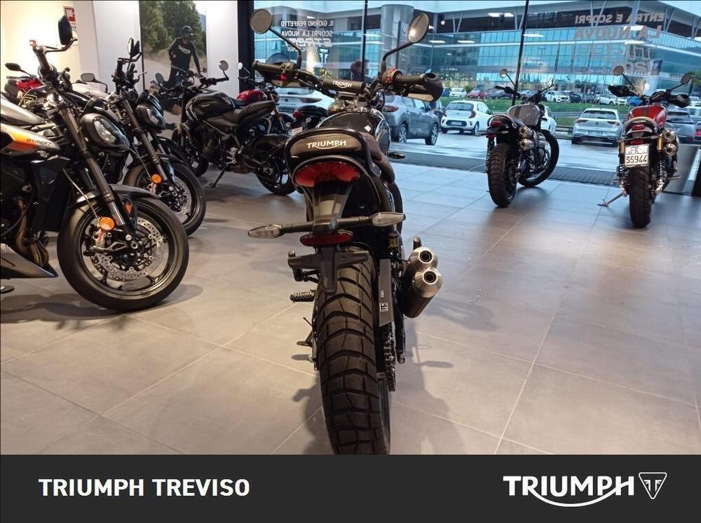 Triumph Scrambler 400 X (2024) (5)