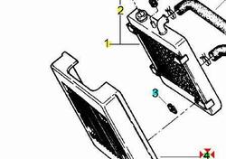 Rete radiatore Aprilia Classic 50 AP8238811