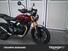 Triumph Scrambler 400 X (2024) (8)