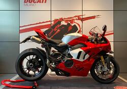 Ducati Panigale V4 R (2023 - 24) usata