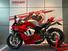 Ducati Panigale V4 R (2023 - 24) (15)