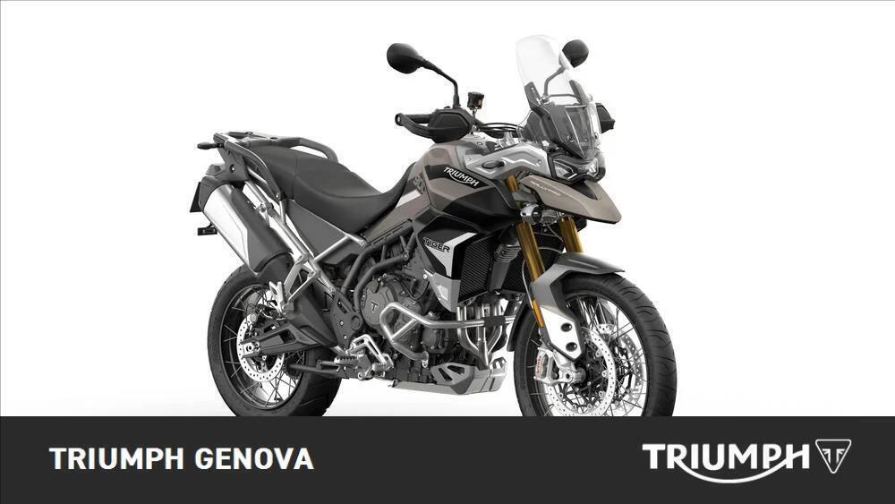 Triumph Tiger 900 Rally Pro (2020 - 23)