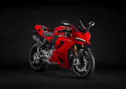 Ducati Panigale V2 S (2025) nuova