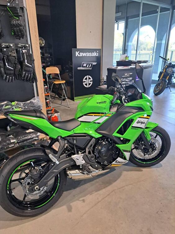 Kawasaki Ninja 650 (2021 - 24) (4)