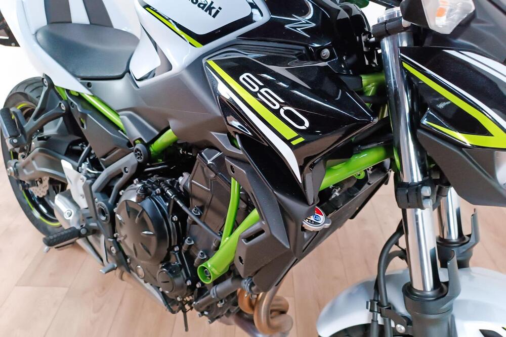 Kawasaki Z 650 Performance (2019 - 20) (5)