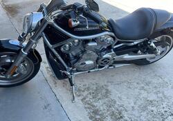 Harley-Davidson 1130 V-Rod (2007) - VRSCAW usata