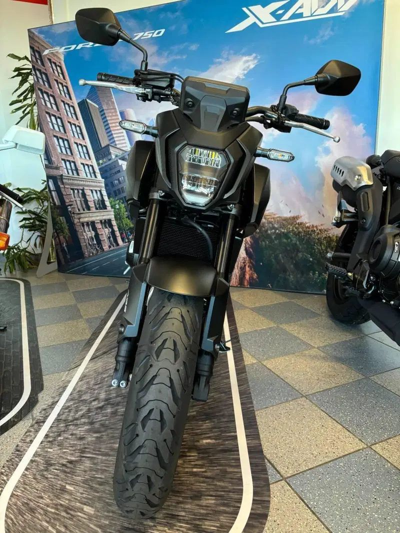 Honda CB 500 Hornet (2024 - 25) (2)
