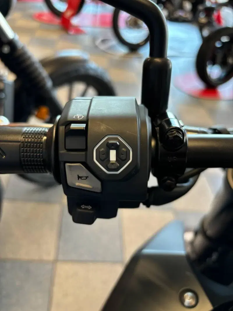 Honda CB 500 Hornet (2024 - 25) (9)