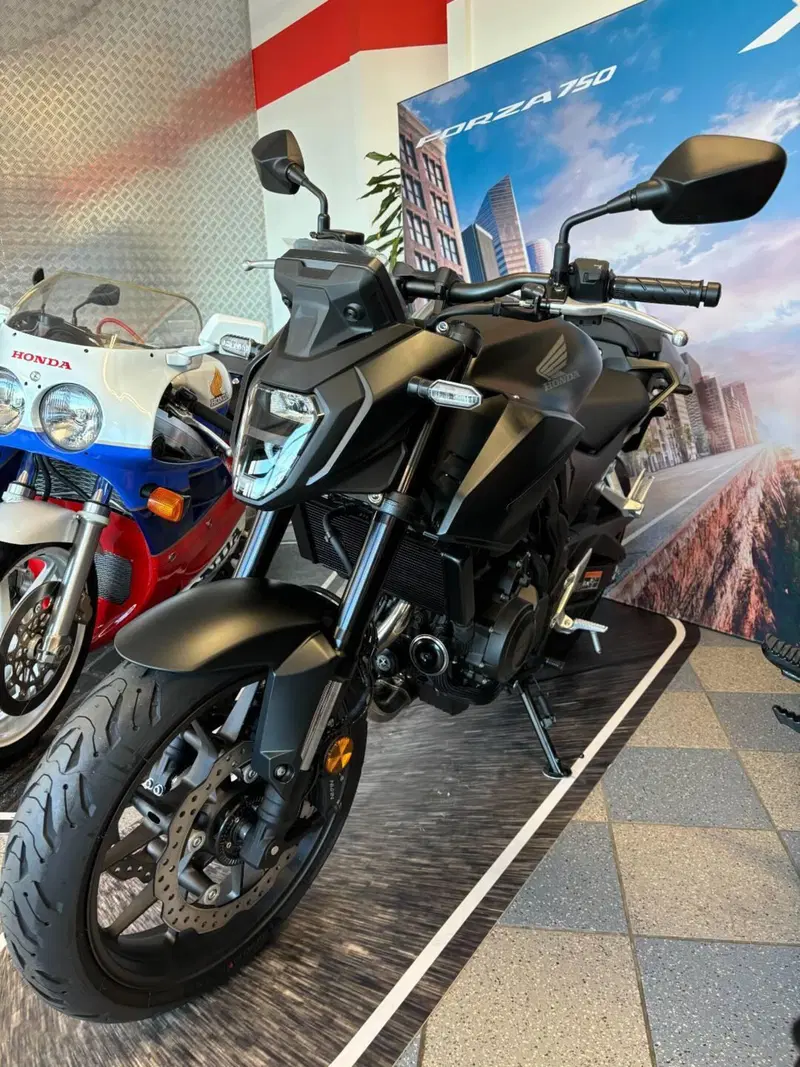 Honda CB 500 Hornet (2024 - 25) (3)