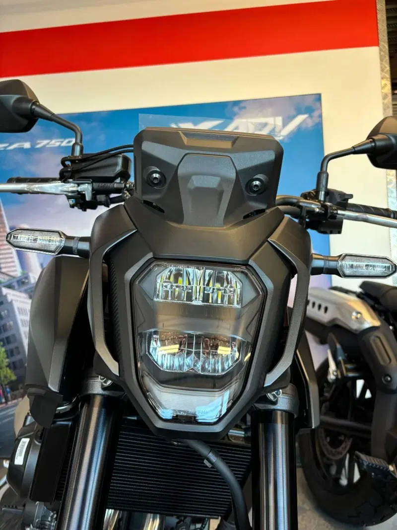 Honda CB 500 Hornet (2024 - 25) (4)