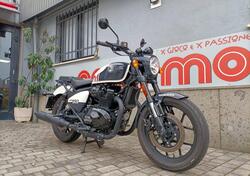 Royal Enfield Shotgun 650 (2024) usata