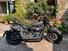 Harley-Davidson 114 Fat Bob (2018 - 20) - FXFBS (6)