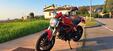 Ducati Monster 797 Plus (2019) (7)