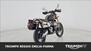 Triumph Scrambler 1200 XE (2024) (7)