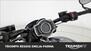 Triumph Rocket 3 R (2019 - 20) (9)