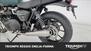 Triumph Speed Twin 900 (2023 - 24) (15)